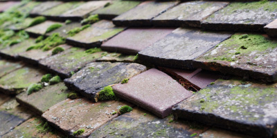 Great Abington roof repair costs